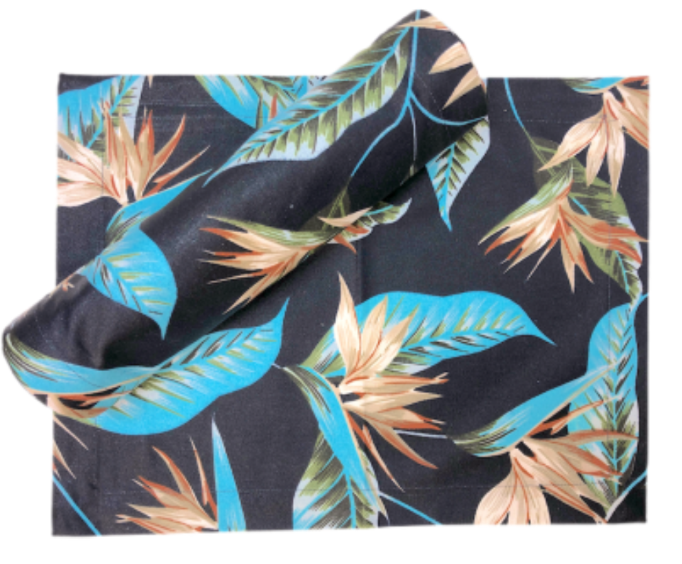 Craft Studio Placemats Set/4 - Midnight Island