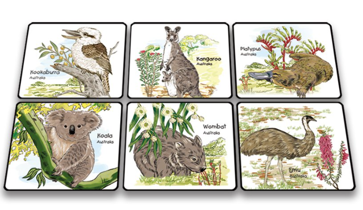 I Love Aus Boxed Coasters - Australian Animals