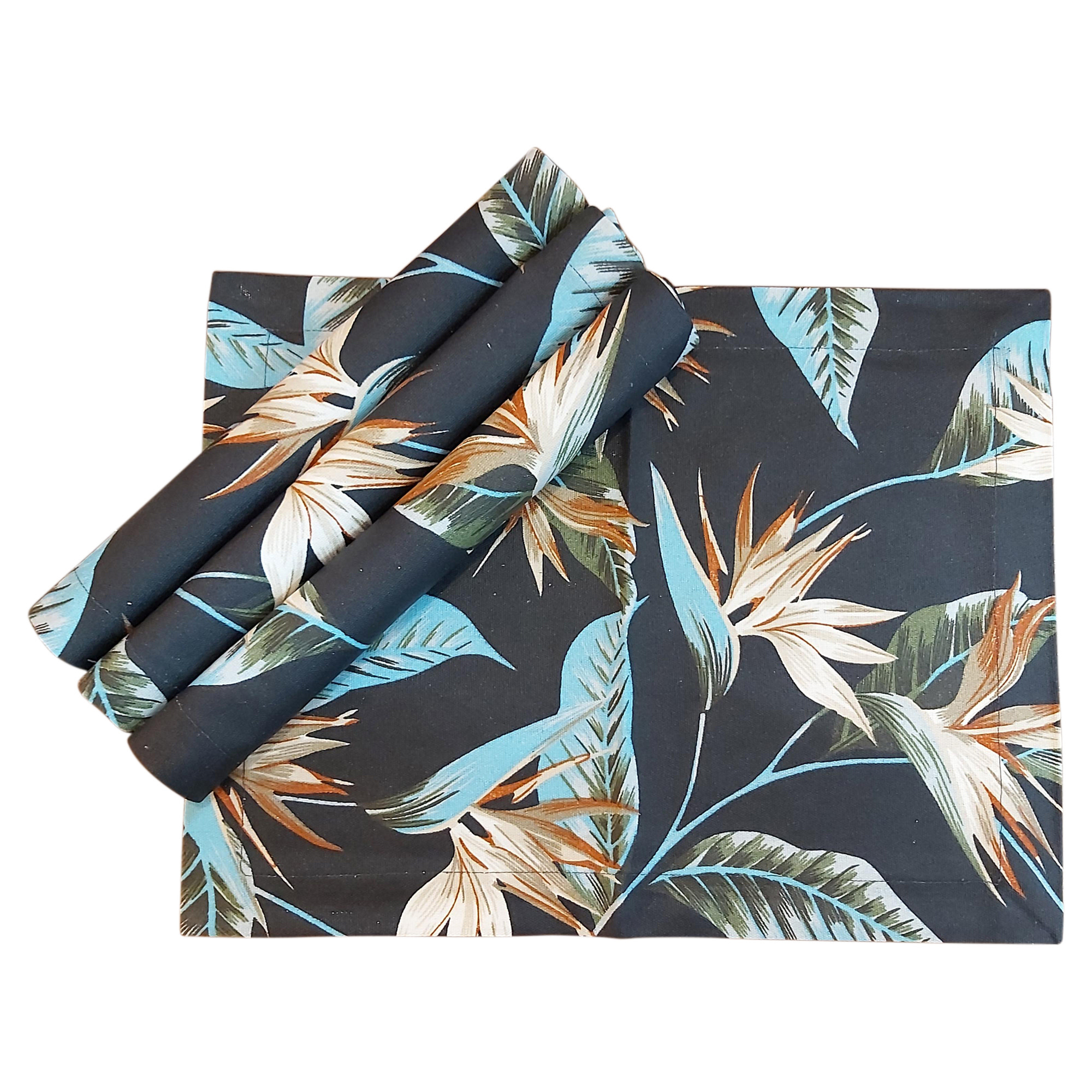Craft Studio Placemats Set/4 - Midnight Island