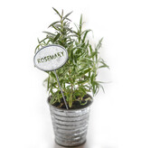 Pot Accessories Herb Labels