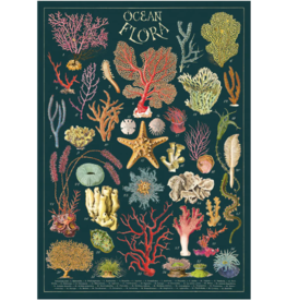 Poster-Coral