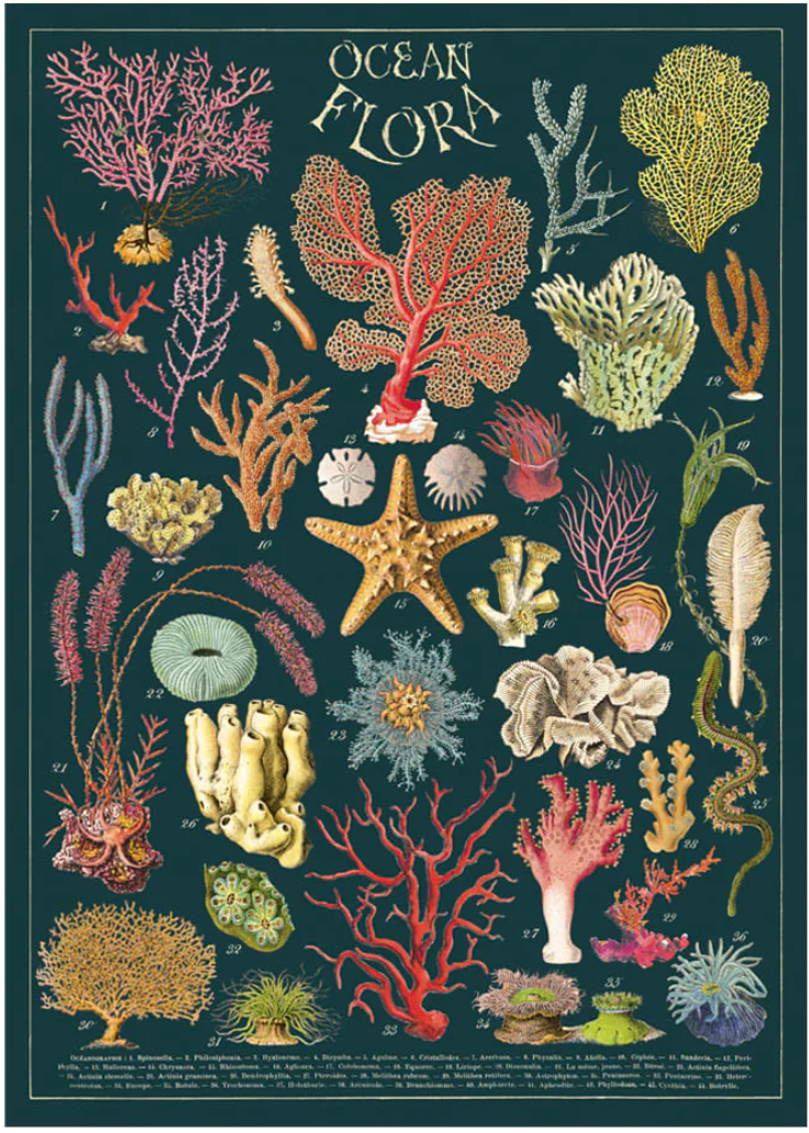 Poster-Coral