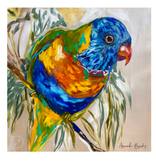 Phillip Bay Trading Coaster - Single Lorikeet