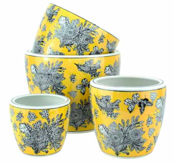Pot Wild Canary (Extra Small)