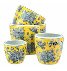 Pot Wild Canary (Medium)