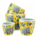 Pot Wild Canary (Large)