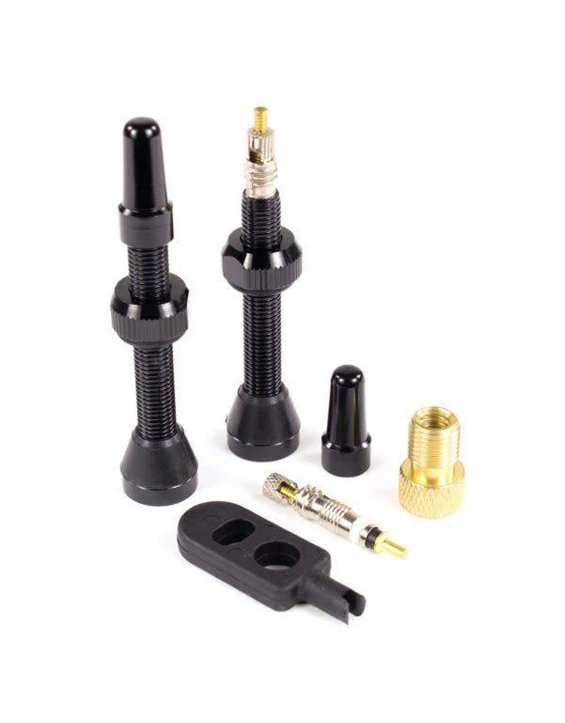 tubeless valve