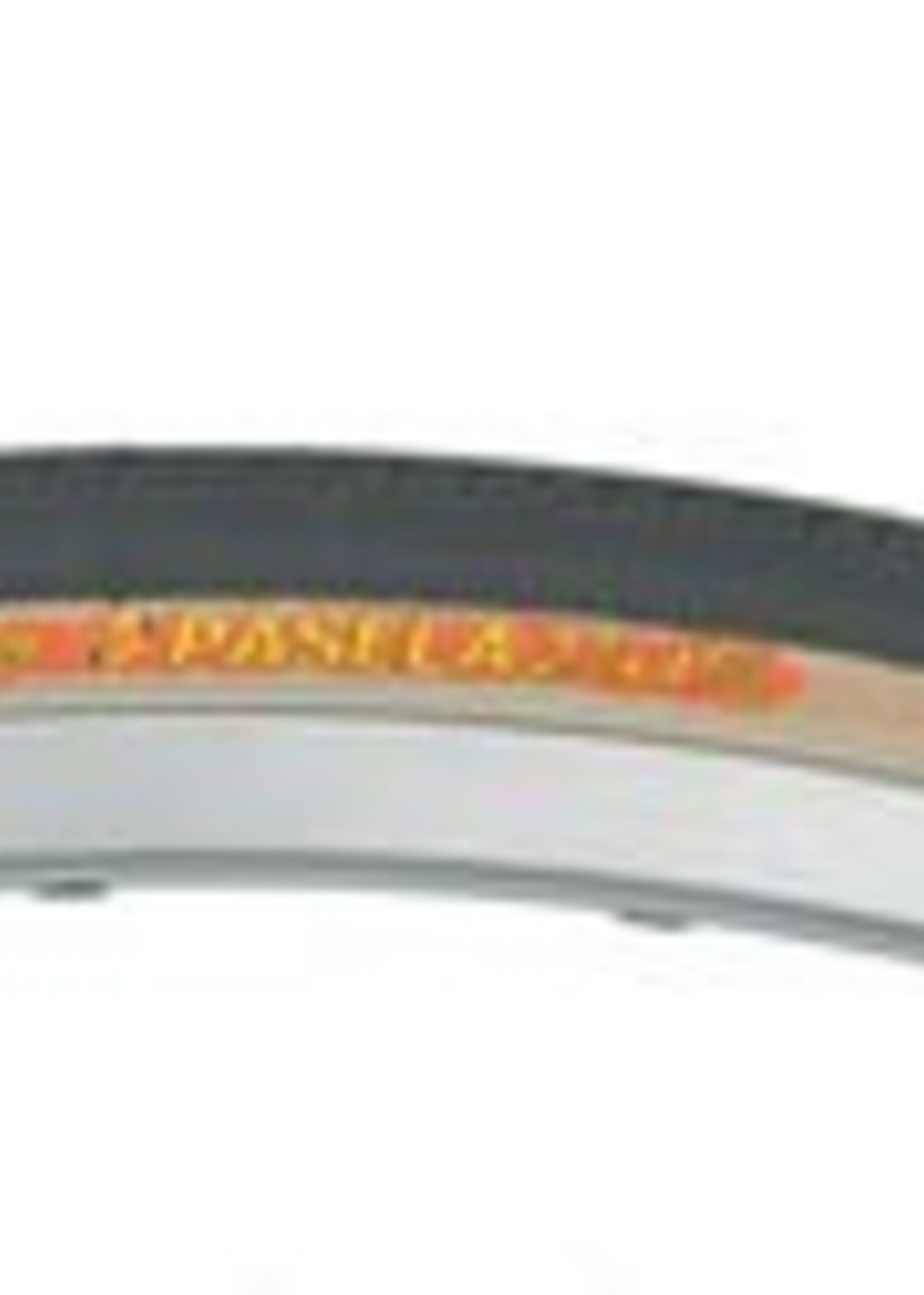 Panaracer Panaracer Pasela 27x1 Black/Tan Steel Bead