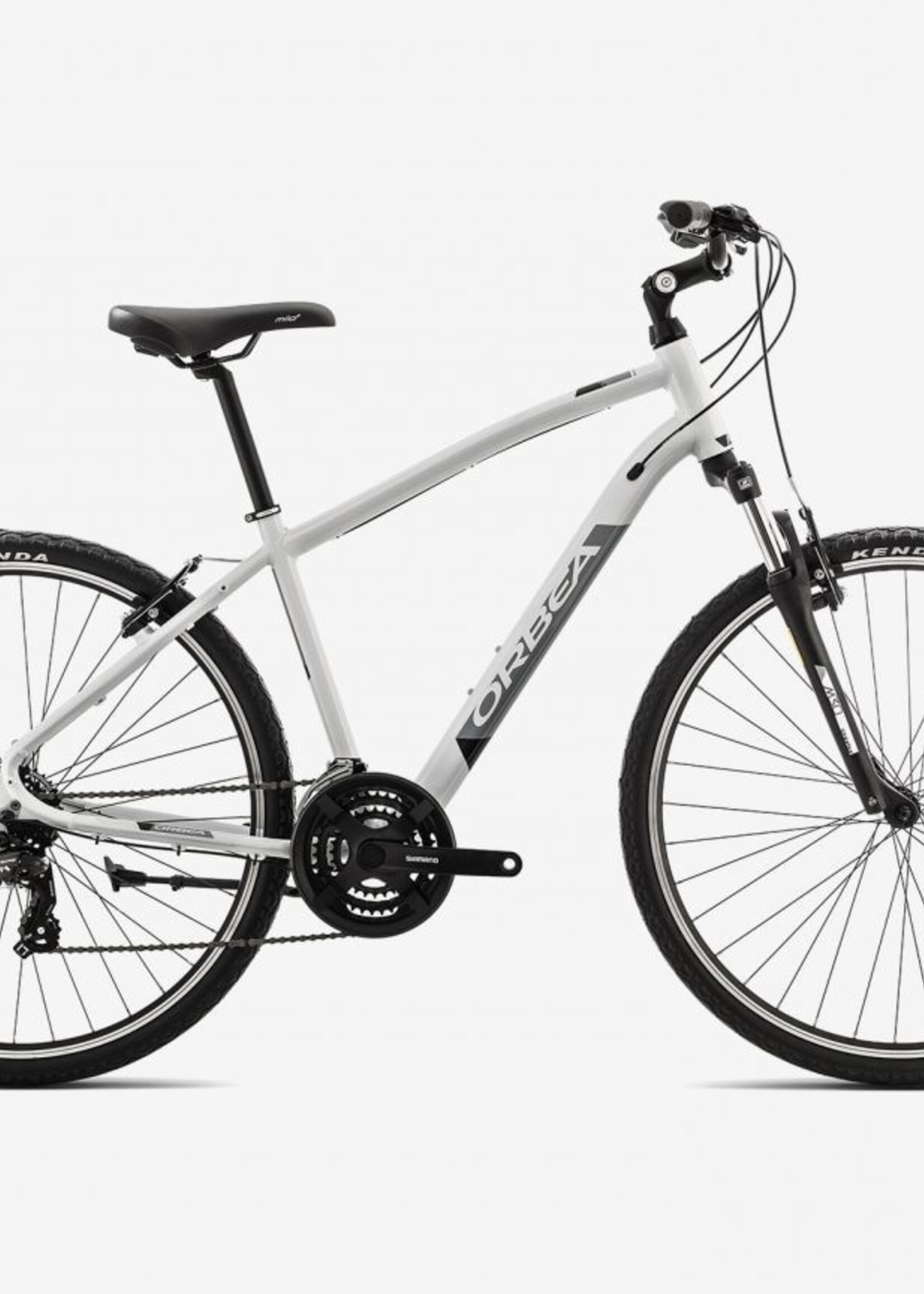 Orbea Orbea Comfort 30 2019 Gray/Black MD