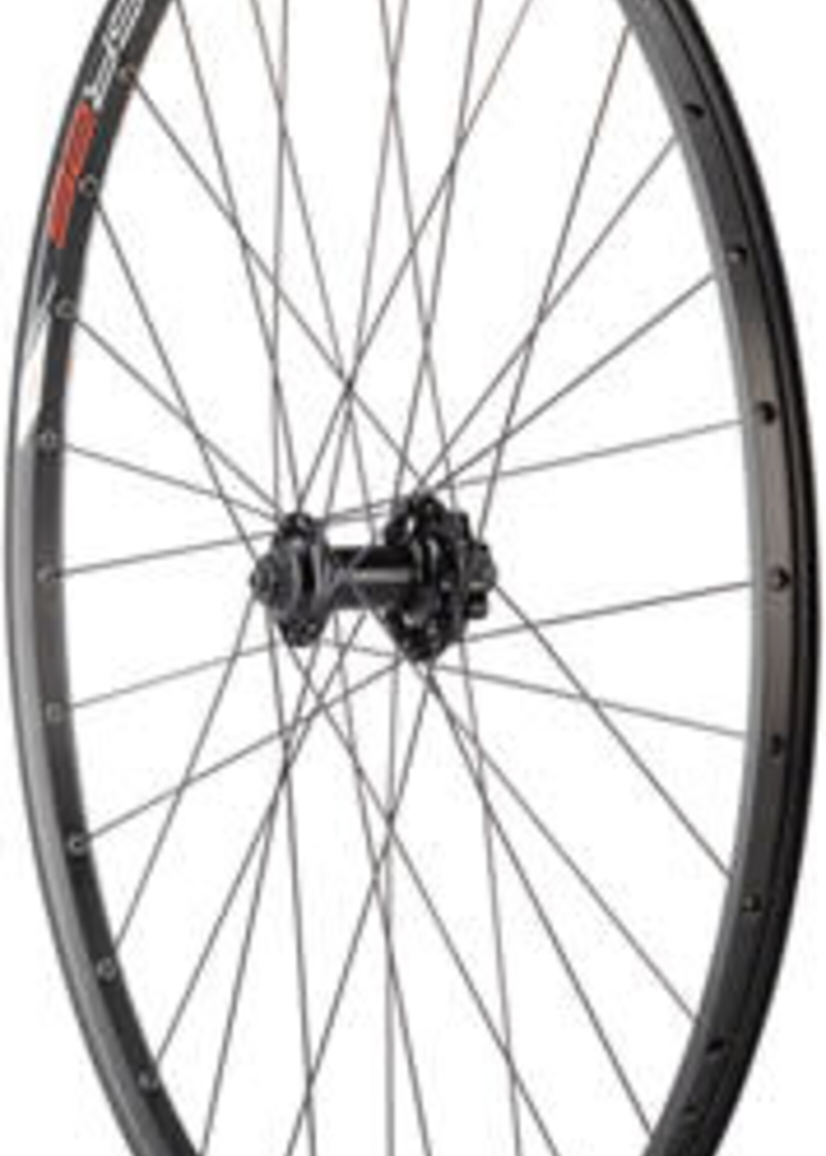 Quality Wheels Value Double Wall Series Disc Front Wheel - 29", QR x 100mm, 6-Bolt, Black, Clincher