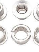 Problem Solvers Problem Solvers Chainring Bolt Set for Single Ring Silver Chromoly