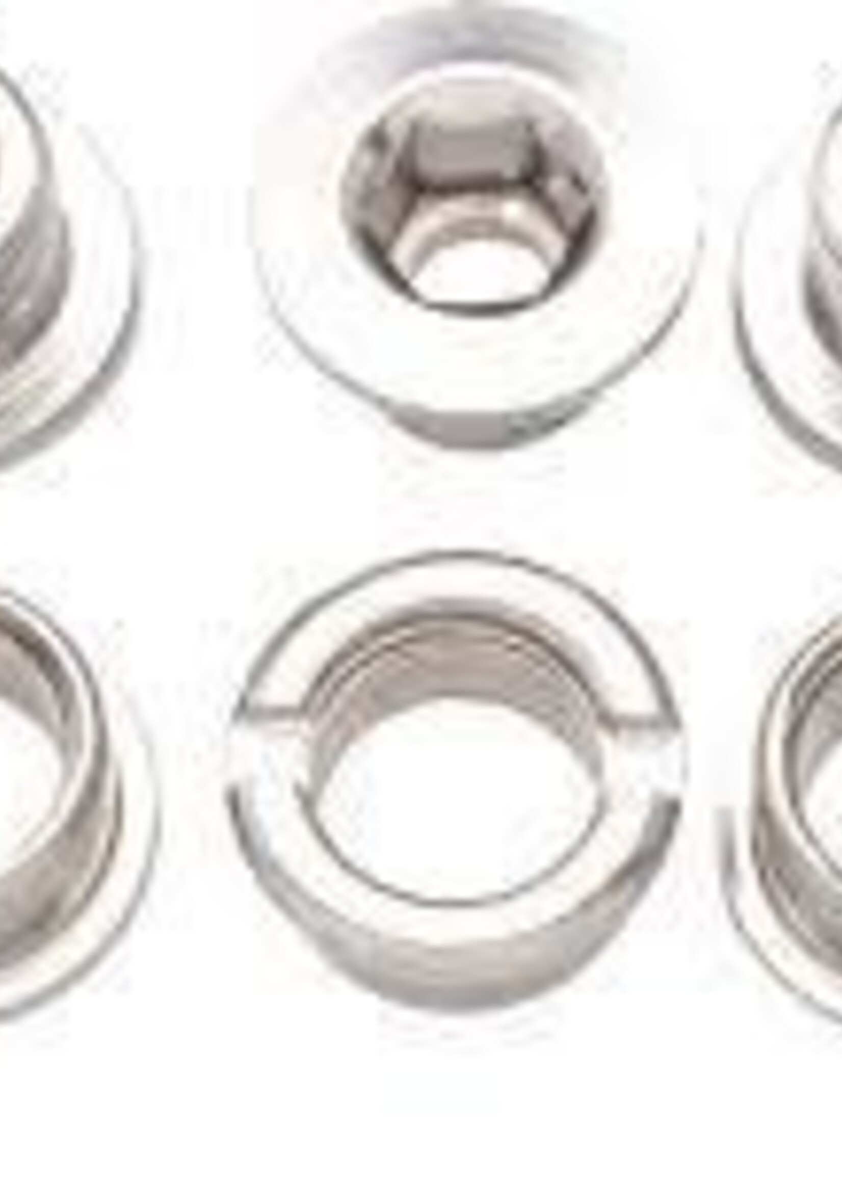 Problem Solvers Problem Solvers Chainring Bolt Set for Single Ring Silver Chromoly