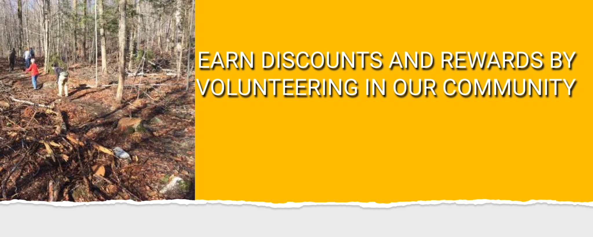 Volunteer