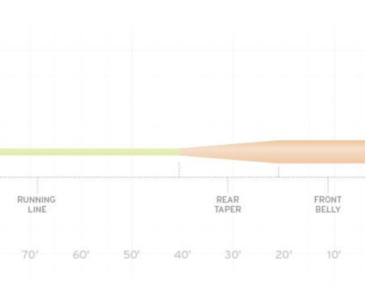 Scientific Anglers SCIENTIFIC ANGLERS AMPLITUDE SMOOTH  GRAND SLAM