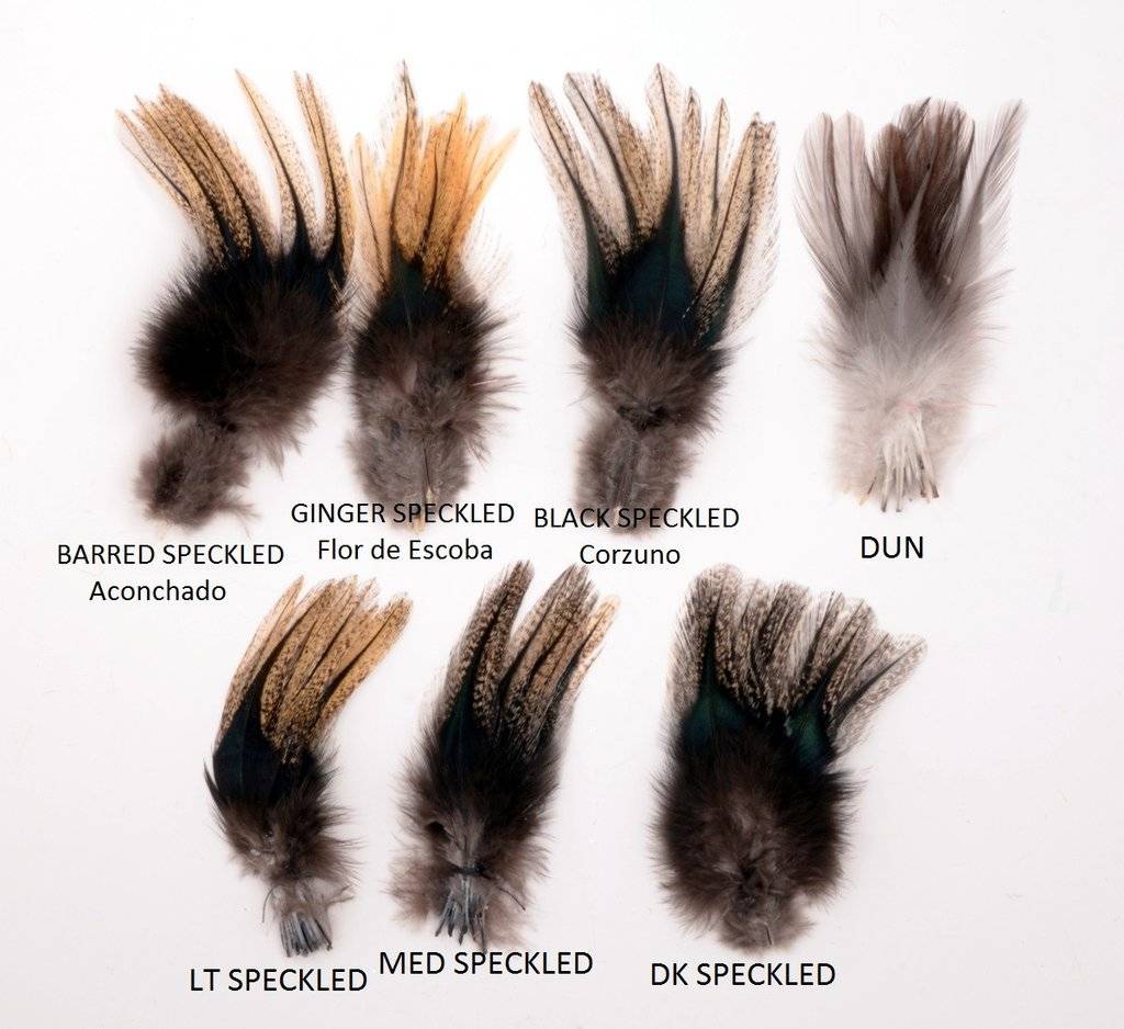 Hareline Dubbin Coq De Leon Ugly Bug Fly Shop