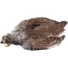 Hareline Dubbin HUNGARIAN PARTRIDGE SKIN #1