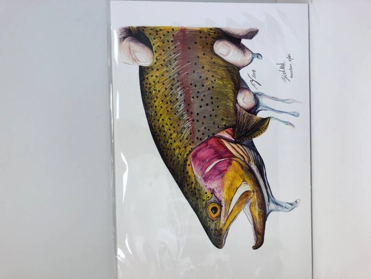 Ty Outdoors TY HALLOCK PRINTS