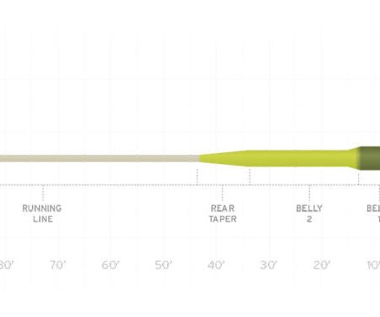 Scientific Anglers SA SONAR TITAN SINK TIP