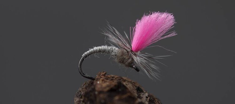 AHREX AHREX FW525 SUPER DRY BARBLESS HOOK