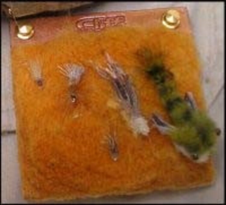 Ugly Bug Fly Shop CLIFF CATCH PATCH