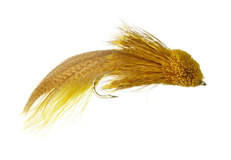 Ugly Bug Fly Shop Galloups Zoo Cougar