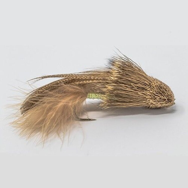 Ugly Bug Fly Shop Galloups Zoo Cougar