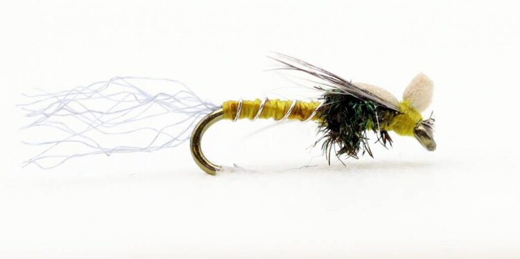 Solitude Fly Company MAYHEM PMD