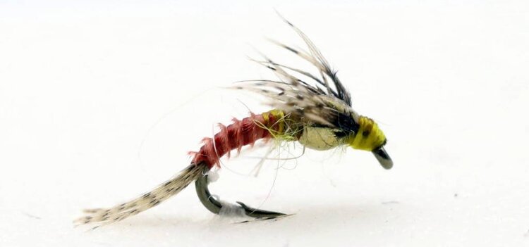 Solitude Fly Company BH THORAX PMD EMERGER