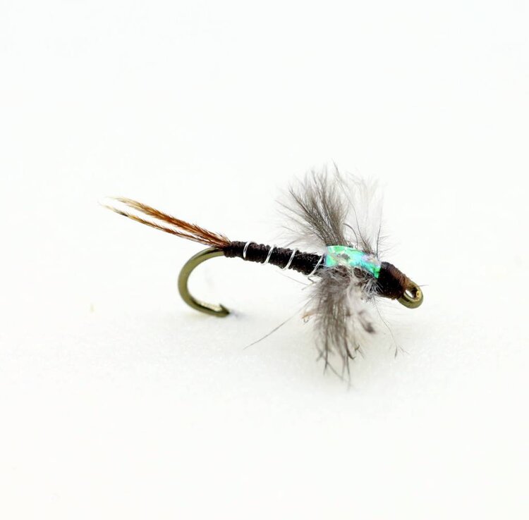 Ugly Bug Fly Shop Jackson's Macgruber