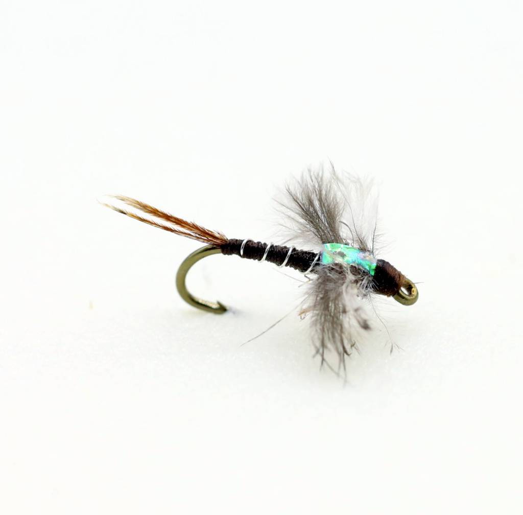 Jackson's Macgruber Ugly Bug Fly Shop