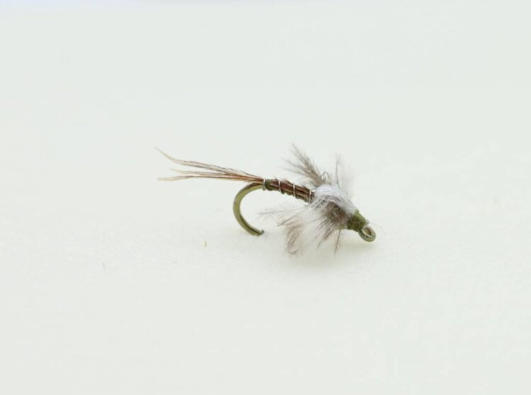 Ugly Bug Fly Shop Jackson's Macgruber Foam Back
