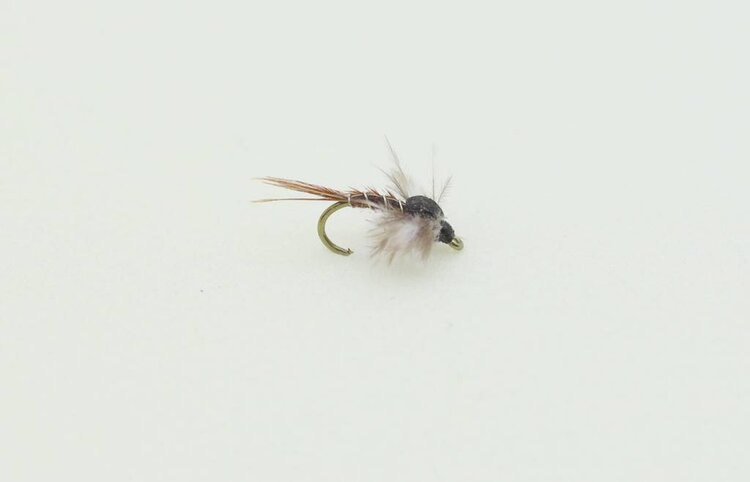 Ugly Bug Fly Shop Jackson's Macgruber Foam Back