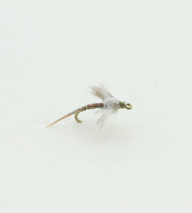 Ugly Bug Fly Shop Jackson's Macgruber Foam Back