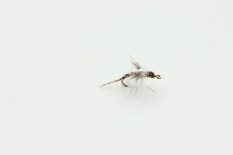 Ugly Bug Fly Shop Jackson's Macgruber Foam Back