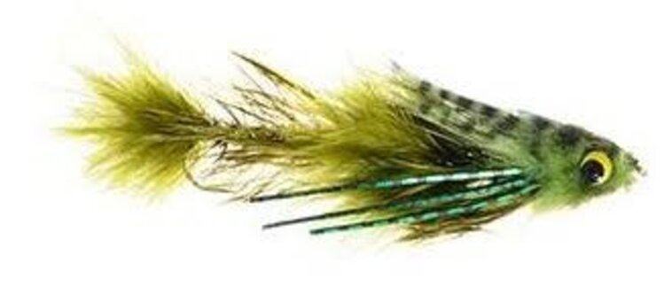 Umpqua Feather Merchants Cravens Baby Gonga