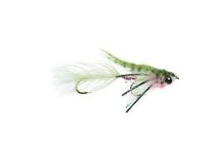 Umpqua Feather Merchants Cravens Baby Gonga