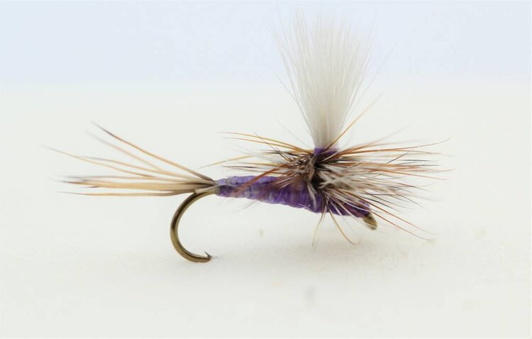 Montana Fly Company PURPLE PARACHUTE ADAM'S