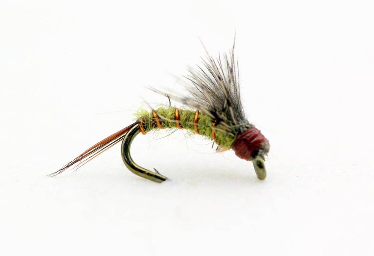 Montana Fly Company Blooms Baetis