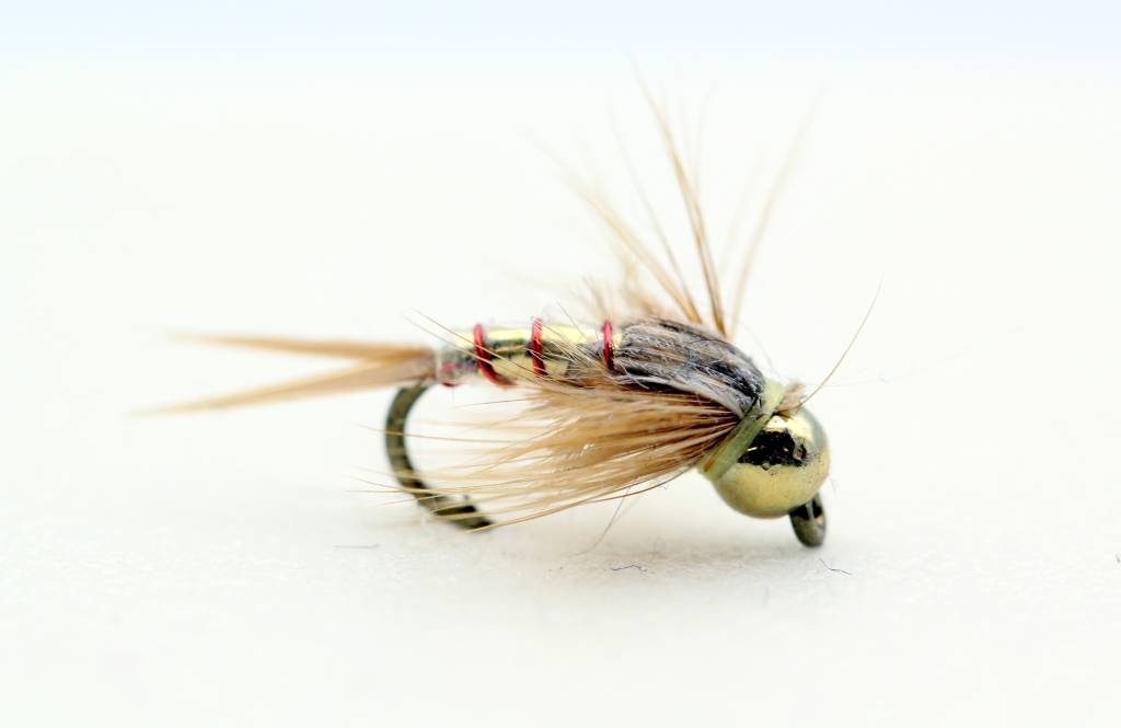 Gabriel's Trumpet - Image source: Ugly Bug Fly Shop