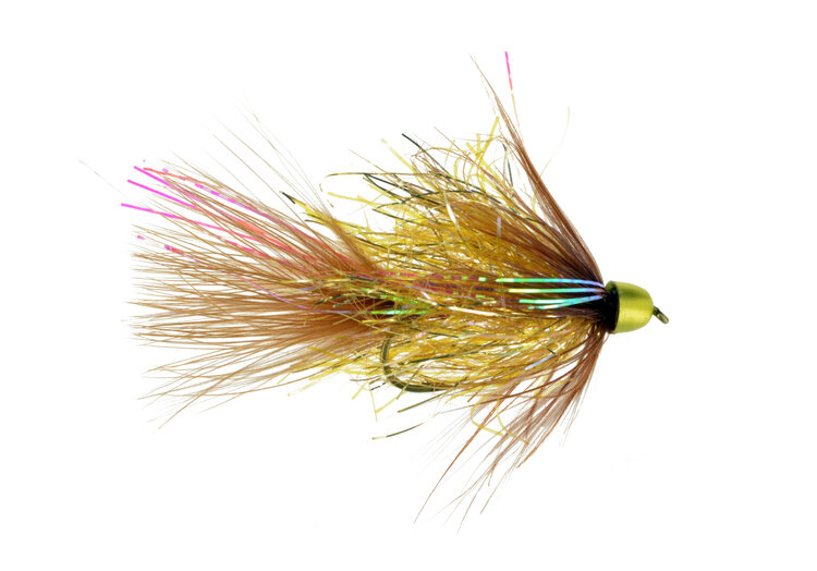 CATCH Skerik's High Resolution Bugger