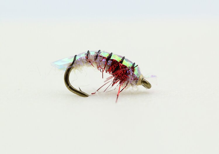 Solitude Fly Company PURPLE BACK SCUD #18
