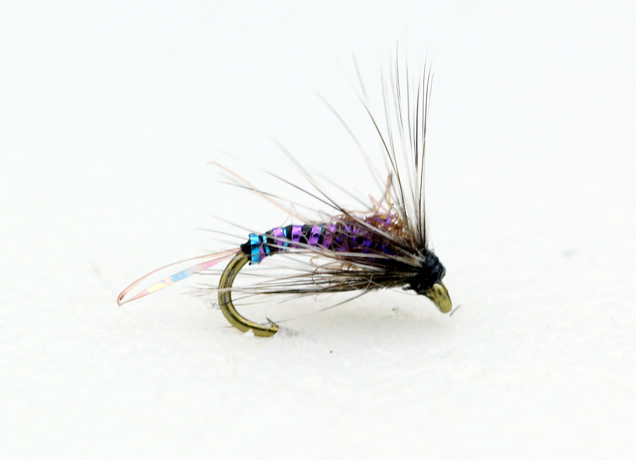 Purple Haze Soft Hackle