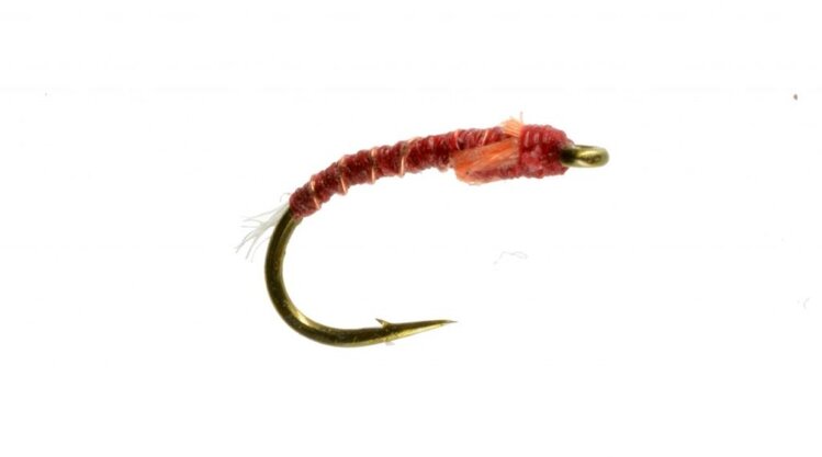 CATCH John Woods Imposter