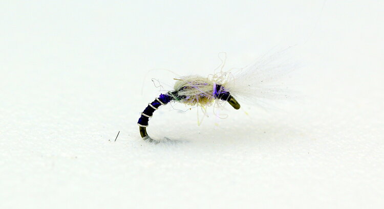 CATCH VC Midge Purple