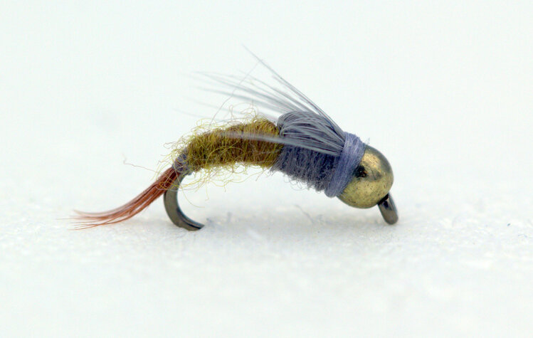 Solitude Fly Company BH CDC CASE BWO EMERGER