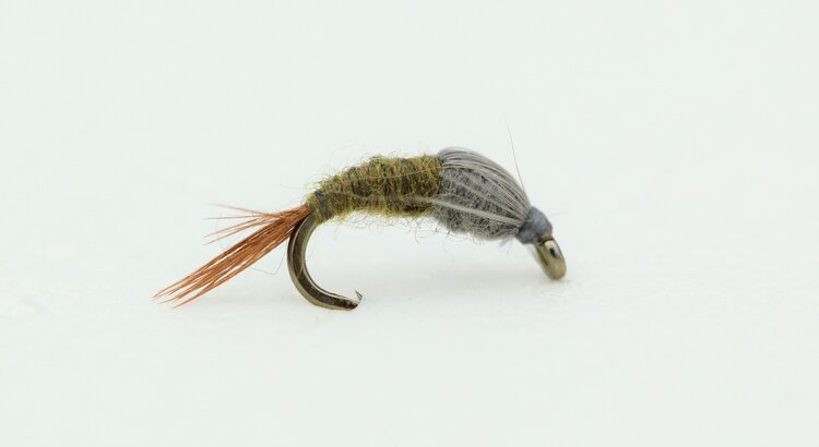 Solitude Fly Company CDC Case BWO Emerger