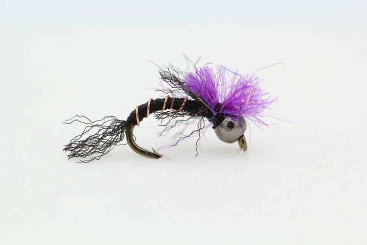CATCH Pete's Teaser BWO #20