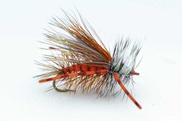 Dream Cast Fly Fishing Advanced R.L  Stimi