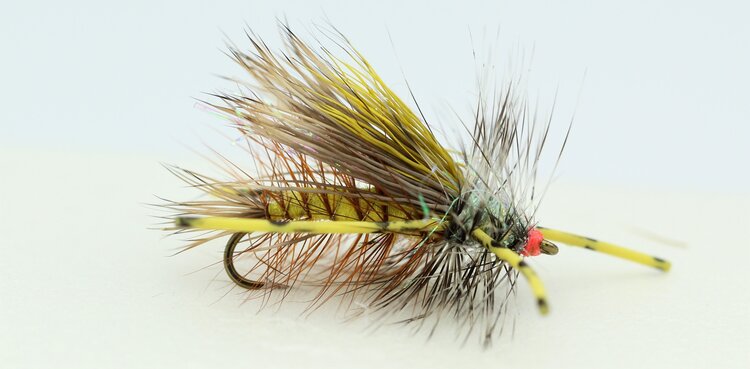 Dream Cast Fly Fishing Advanced R.L  Stimi