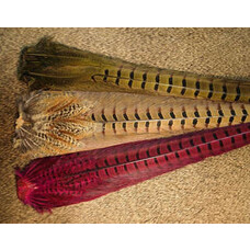 Hareline Dubbin RINGNECK PHEASANT TAIL CLUMPS